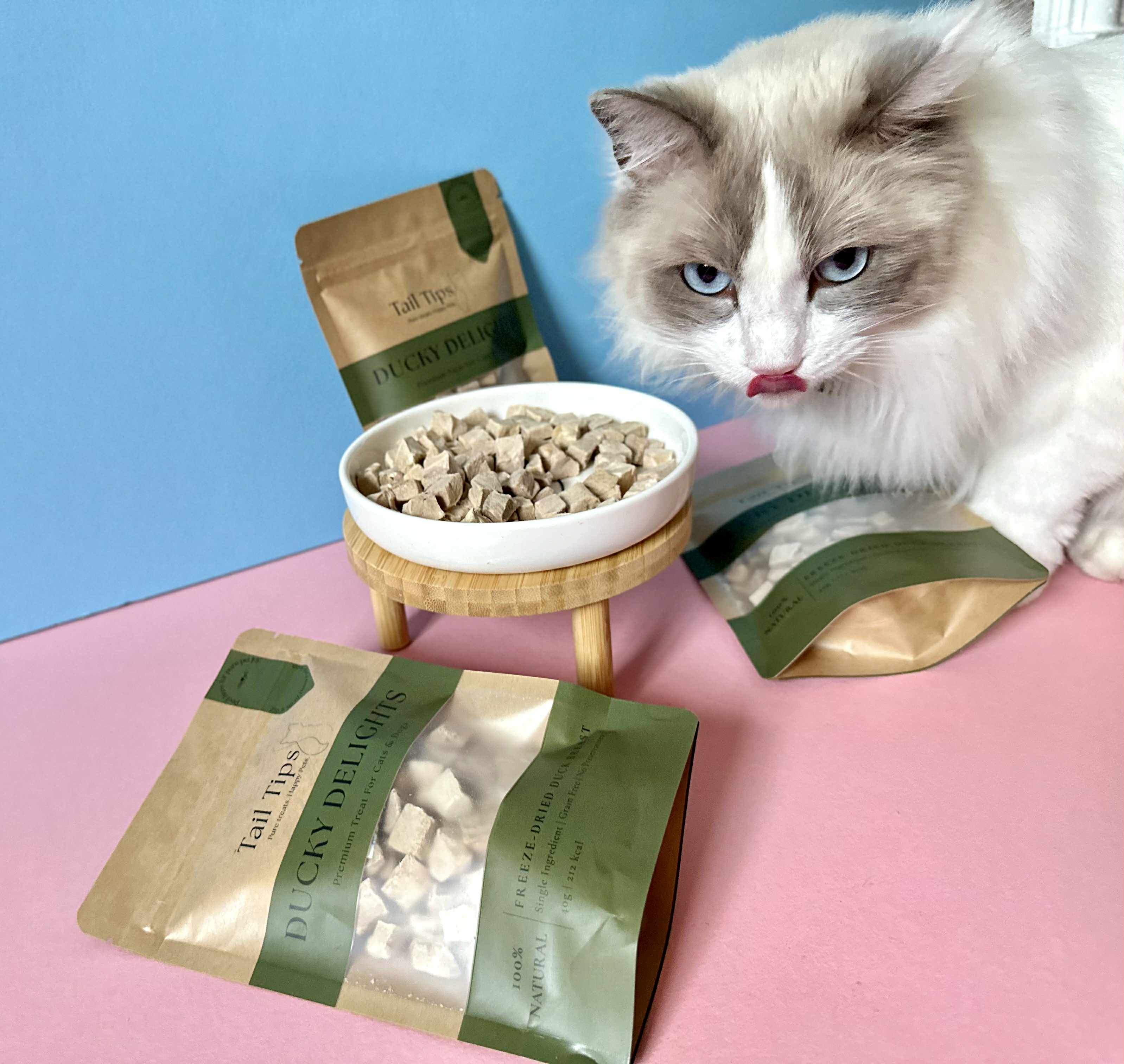 Ducky Delights - 100% Freeze-Dried Duck Treats | Novel Protein | Tail Tips UK | 40g pack