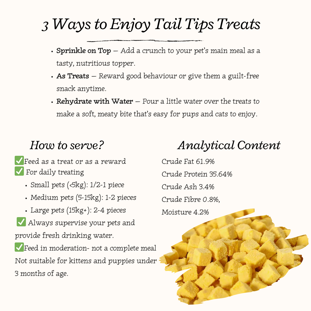 Yolky Bites - 100% Freeze-Dried Egg Yolk Treats | Pure Protein | Tail Tips UK | 40g pack