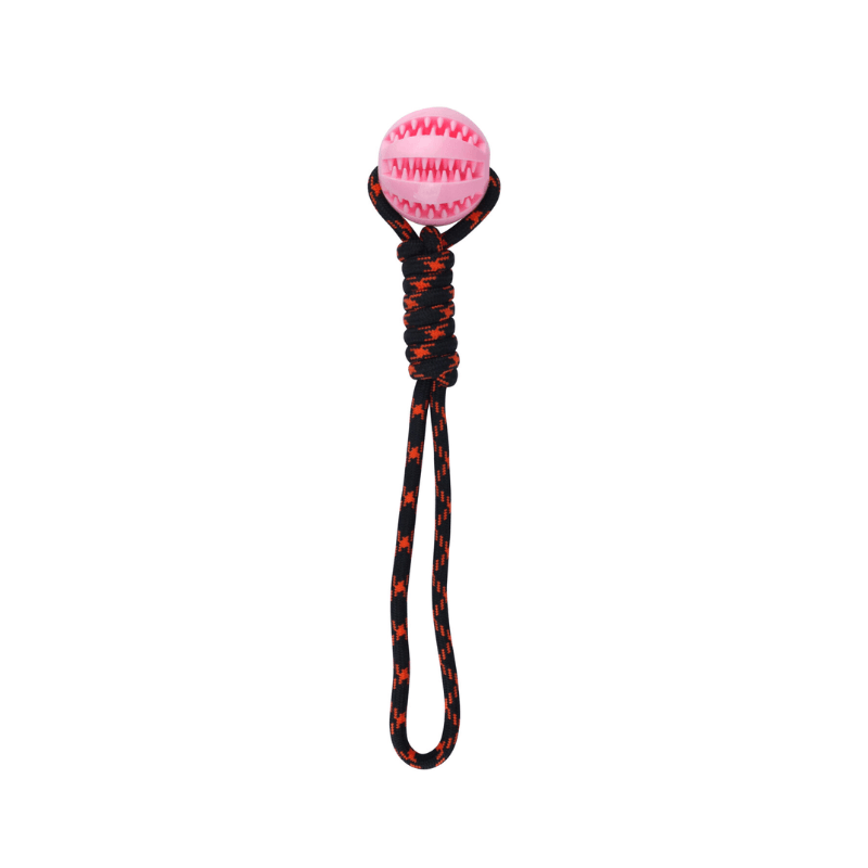 Dog Rope Toy With Toy Treat Ball