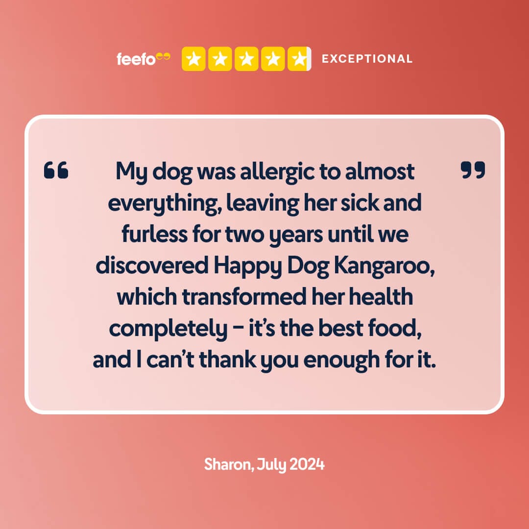 Pure Kangaroo Wet Dog Food (Australia)