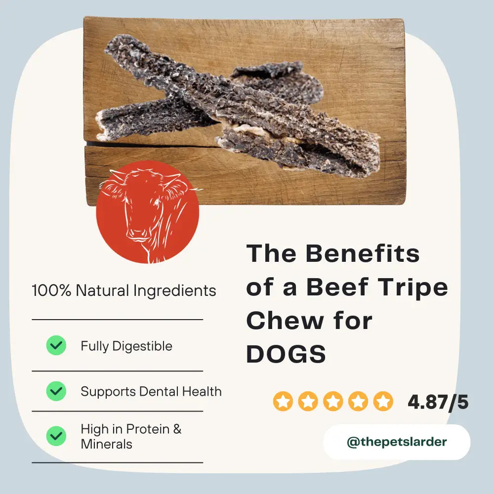 Beef Tripe Chew Natural Meat Chew For Dogs