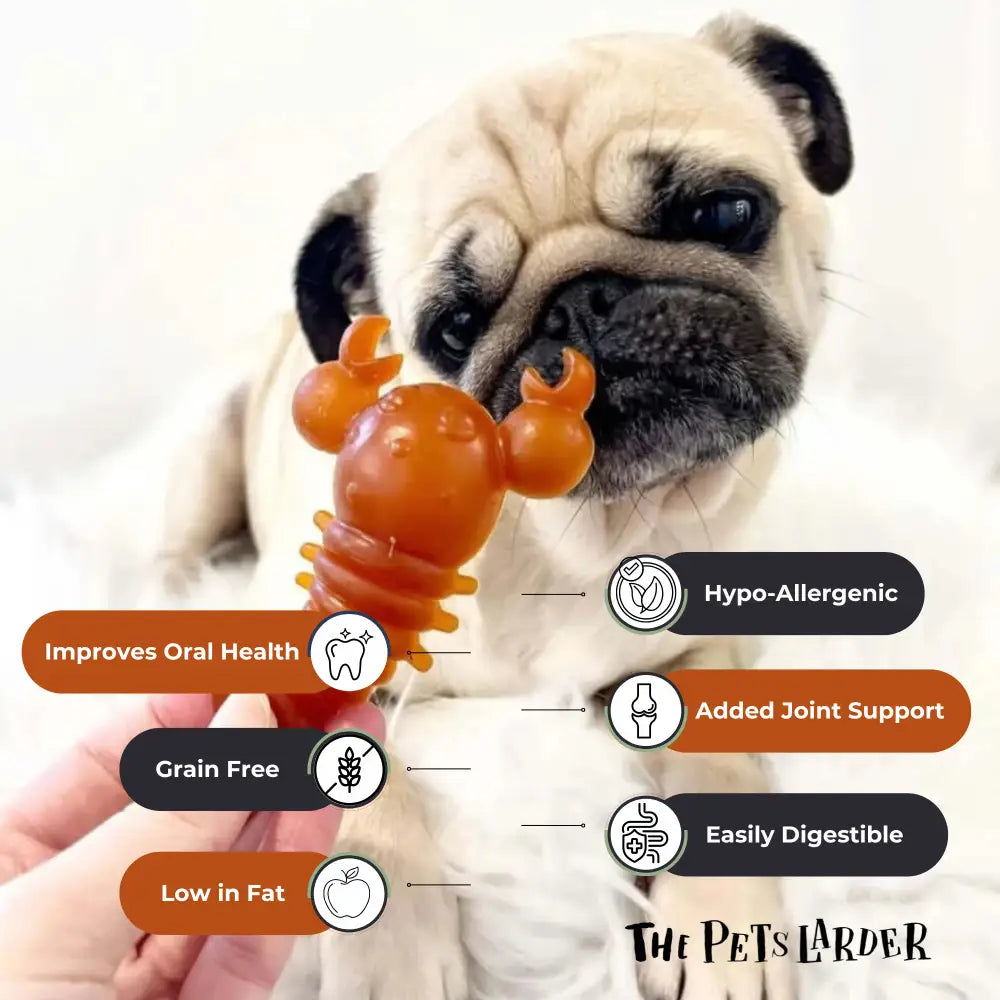 Carrot & Pumpkin Lobster Chew For Dogs