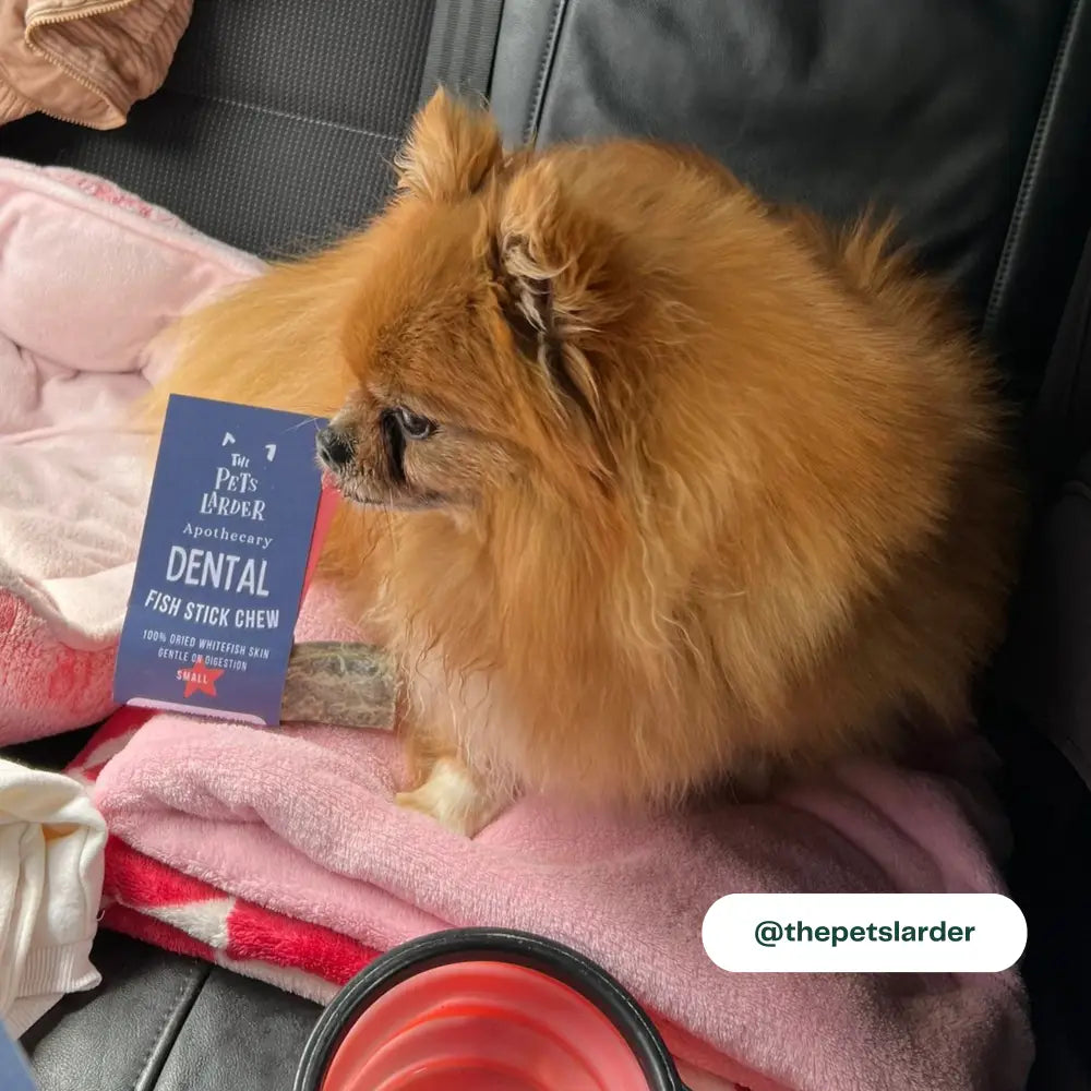 Fish Stick Chew For Dogs