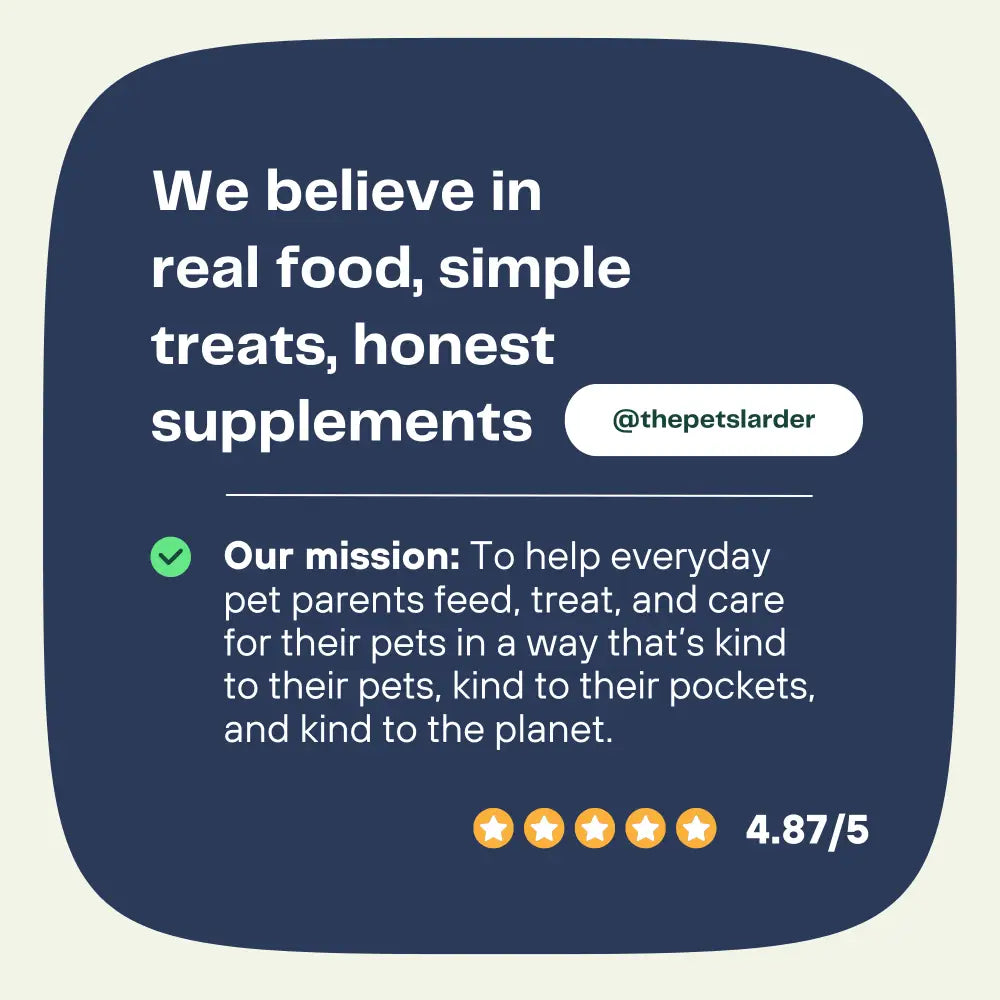 Fish Stick Chew For Dogs