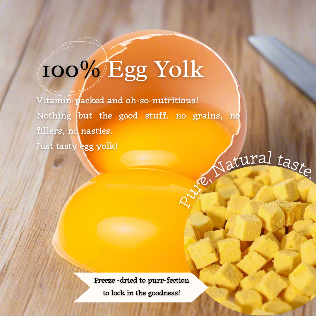 Yolky Bites - 100% Freeze-Dried Egg Yolk Treats | Pure Protein | Tail Tips UK | 40g pack